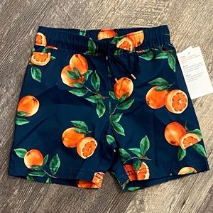 Toddler boy swim trunks
